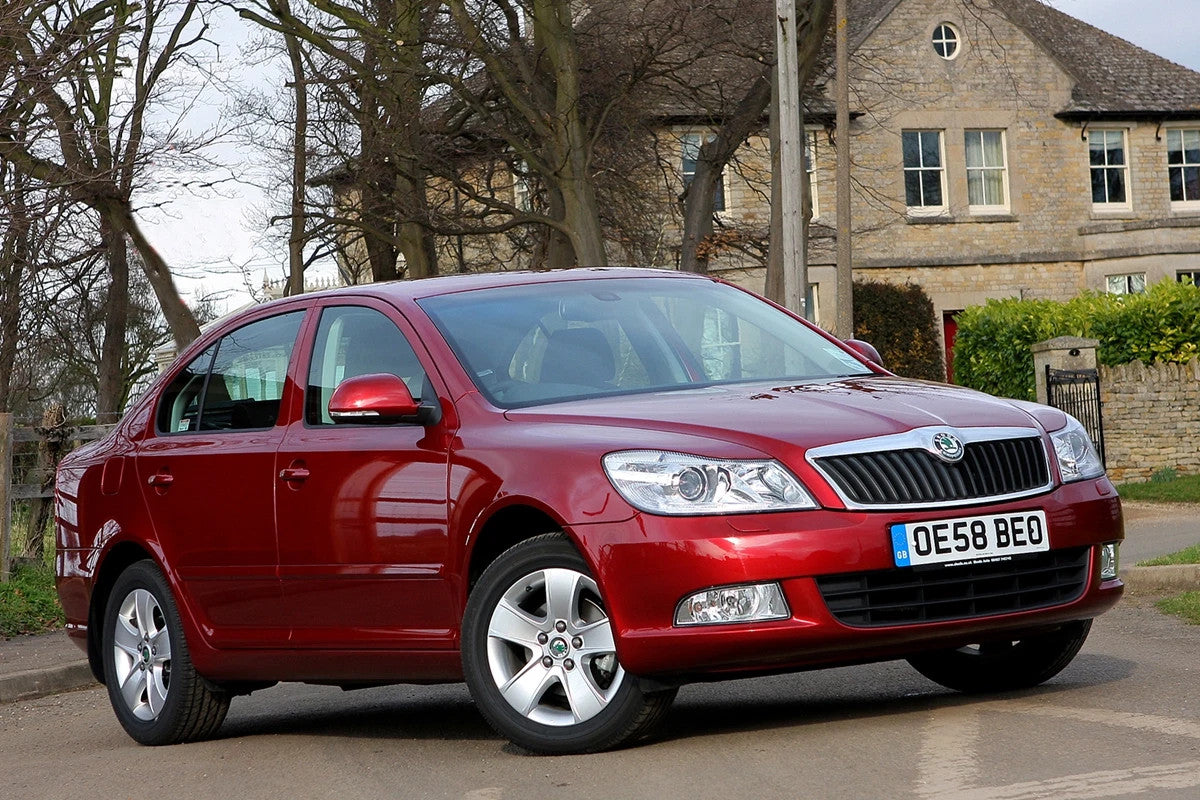 SKODA OCTAVIA MK2 2004-2012 OSR DOOR CHECK STRAP