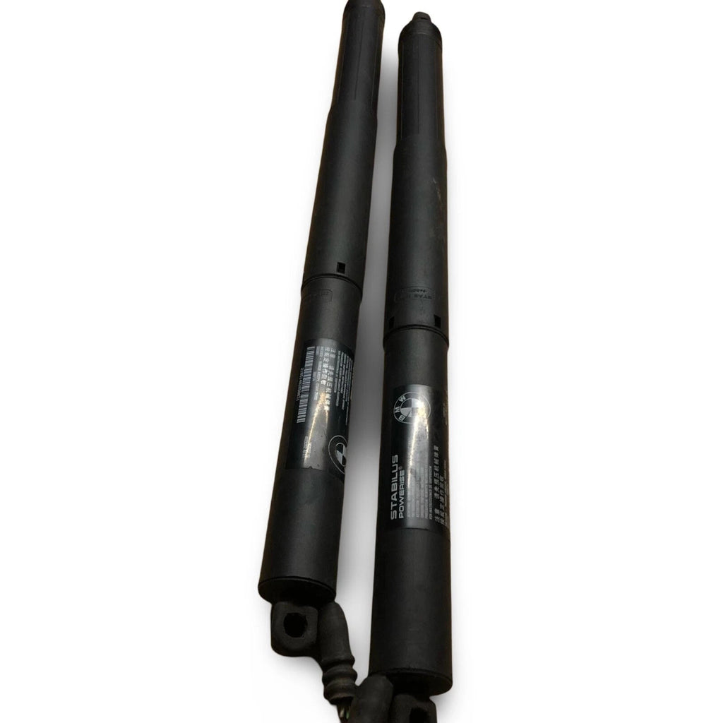 961745 boot shock absorbers Struts BMW SERIES X5 (F15) (2013->) 2013 384138