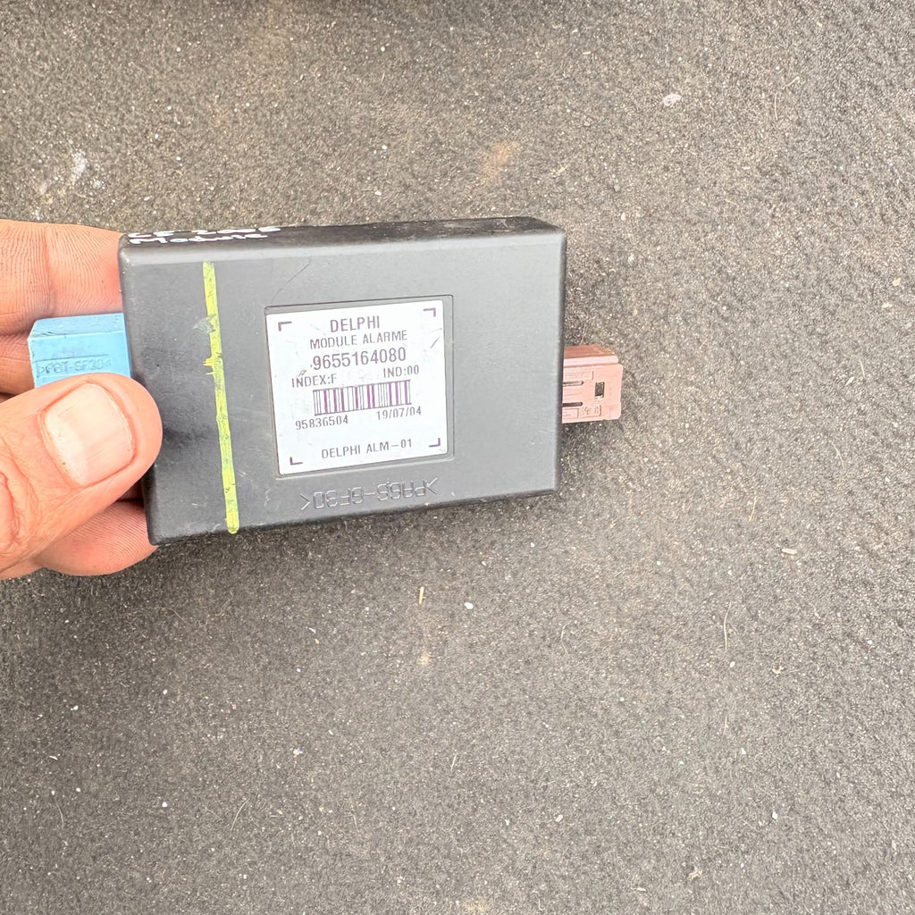 Citroen C5 Alarm Control Unit 9655164080 2005