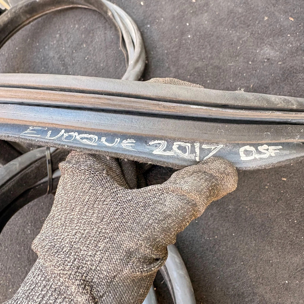 Range Rover Evoque L538 11-18 Front Right Offside OSF Door Seal BJ32-20708-A