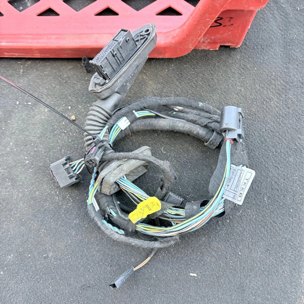 BMW E46 318I Door Wiring Loom Harness Side Rear L322 83754100 OSF 81238 06089
