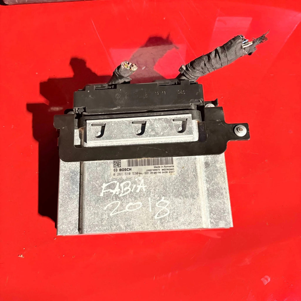 SKODA FABIA 2018 Engine Control Unit 1035100120