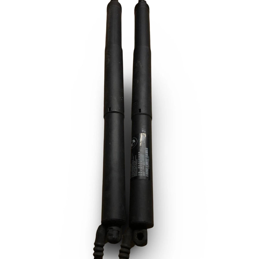 961745 boot shock absorbers Struts BMW SERIES X5 (F15) (2013->) 2013 384138
