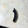MERCEDES BENZ E-CLASS 2.1CDI ENGINE TIMING CHAIN GUIDE A6510500016 2012-2018