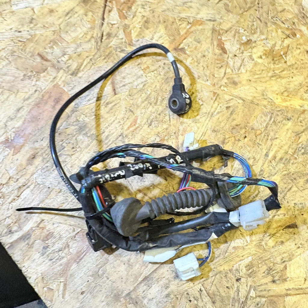 DAIHATSU SIRION 2003 PASSENGER REAR LEFT SIDE DOOR WIRING LOOM