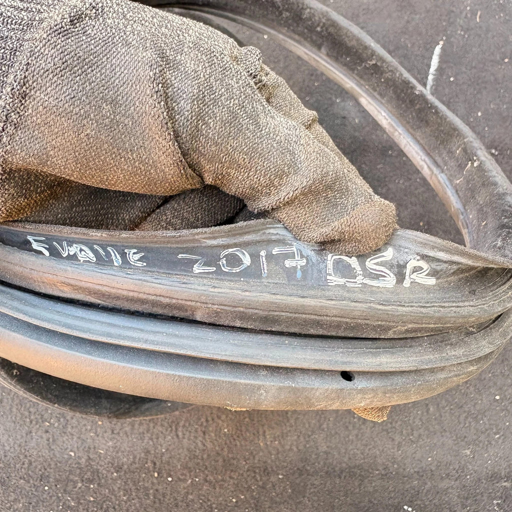 Range Rover Evoque L538 11-18 Rear Right OSR Driver Read Door Seal