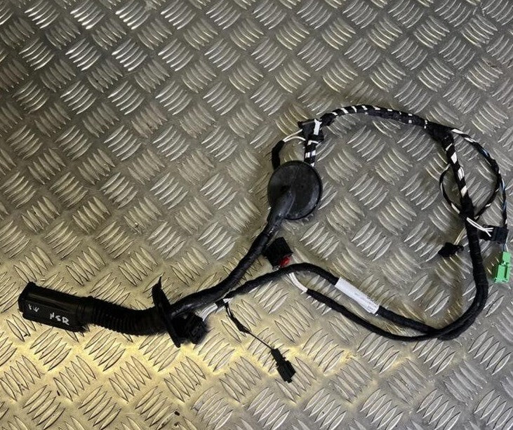 VW TIGUAN 2020 Mk2 AD Left Rear Door Wiring Loom 5NA971693BJ