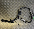 VW TIGUAN 2020 Mk2 AD Left Rear Door Wiring Loom 5NA971693BJ