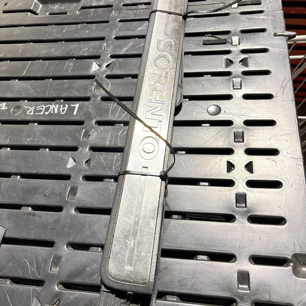 Kia Sorento Entry Step Trim Front Side Pair 85886-3E000 2002-2006
