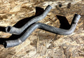 VW Polo 6N 95-00 Dual Coolant Hose 6N0121049A ADX AEA AEV