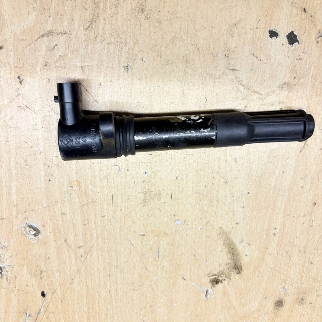 BAE4030 Ignition Coil for LANCIA YPSILON (101) 1.2 16V Argento 109951